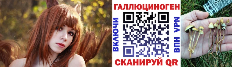 купить  сайты  Кологрив  blacksprut зеркало  Галлюциногенные грибы GOLDEN TEACHER 